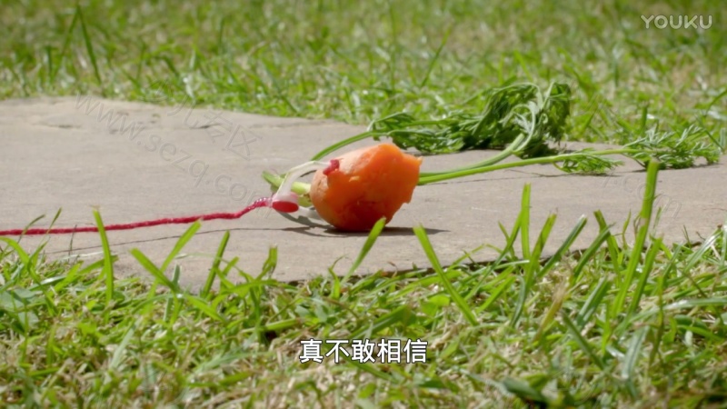 机器人历险记的剧照截图5