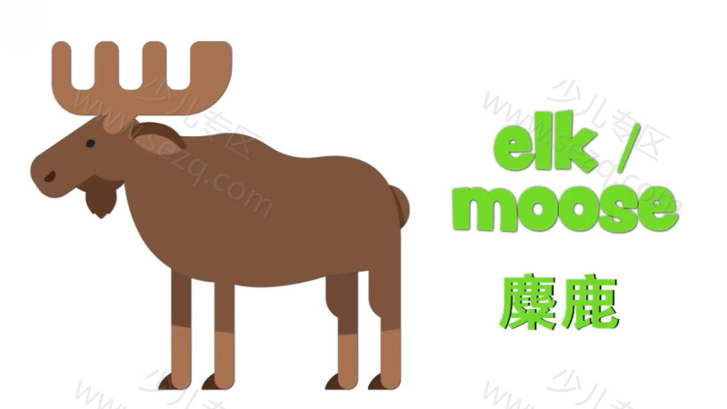 青果双语动物认知的剧照截图4