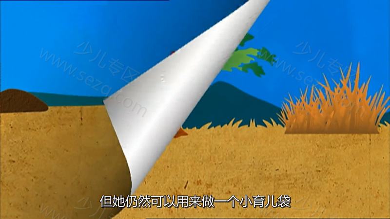 森林动物园的剧照截图6