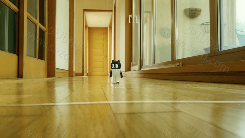 来自奇星的小伙伴的剧照截图4