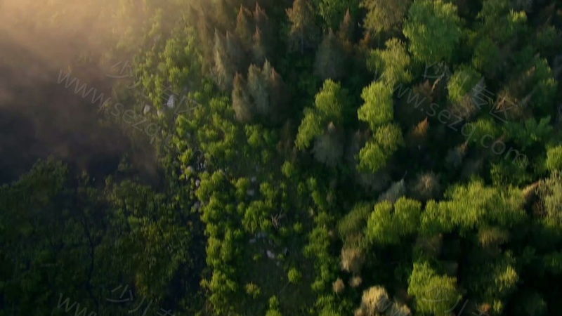 地球生物圈的剧照截图2