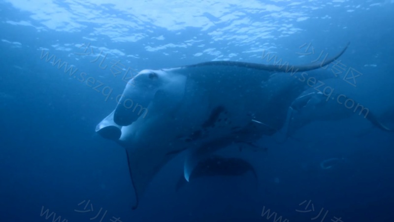 奇迹之地的剧照截图6