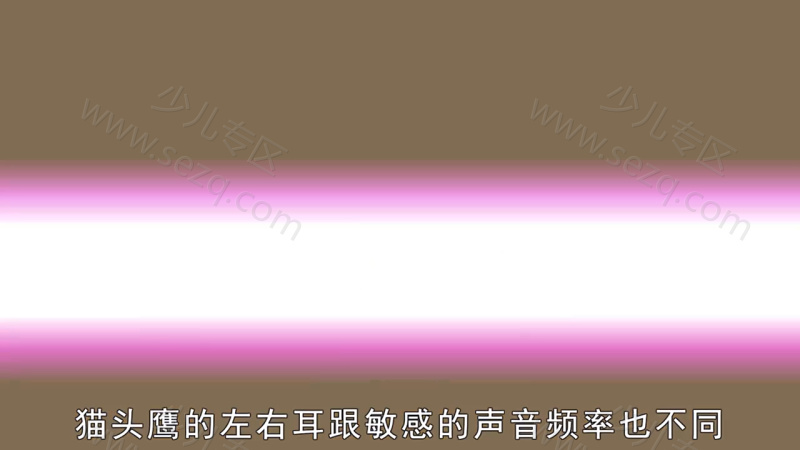 动物冷知识的剧照截图1