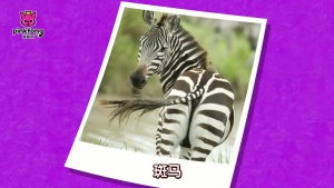 儿歌动画片《碰碰狐之动物儿歌 Pinkfong Animal Songs》第二季全20集 国语中字 720P/MP4/973.96MB 下载