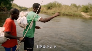 科普纪录片《奇迹之地 Earth’s Natural Wonders》第一季全3集 英语中字 1072P/MP4/3.16GB 下载