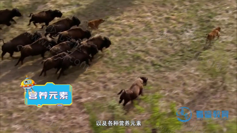 给孩子的地球说明书的剧照截图3