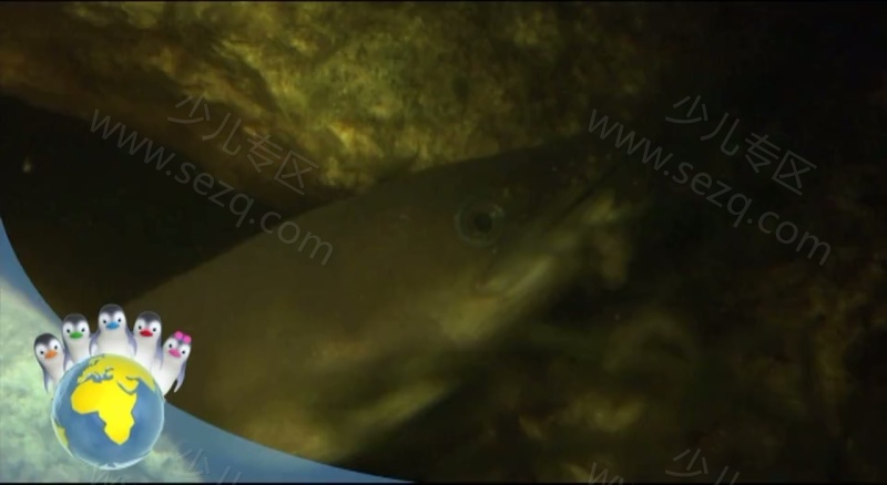 嘘!企鹅来了之企鹅爱地球的剧照截图2