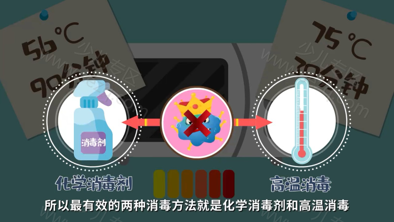 亲宝科普之新型冠状病毒的剧照截图1