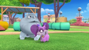 益智动画片《小狗的朋友 Puppy Dog Pals》第一季全26集 英语英字 720P/MKV/7.51GB 下载