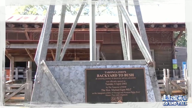 走起说英语的剧照截图5