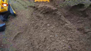 益智动画片《汽车世界之工程车大救援》全52集 国语版 1080P/MP4/2.99GB 下载