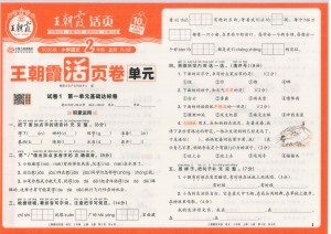 25秋二年级上册语文1-8单元卷（含期中期末，单元基础知识归类复习）（40页）