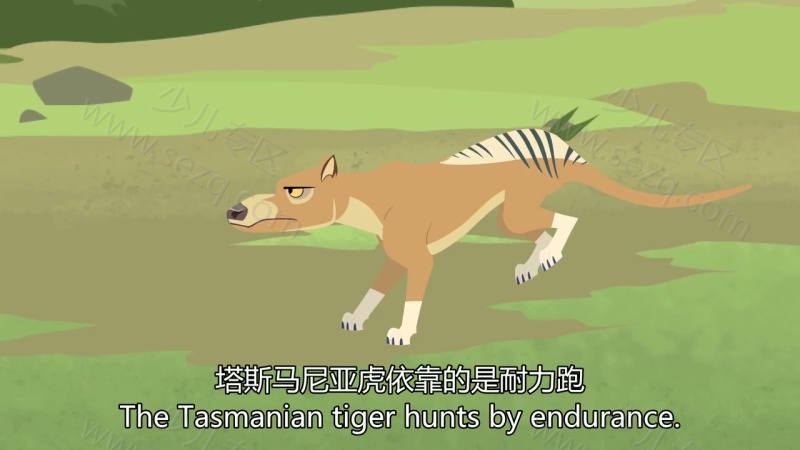 动物兄弟的剧照截图2