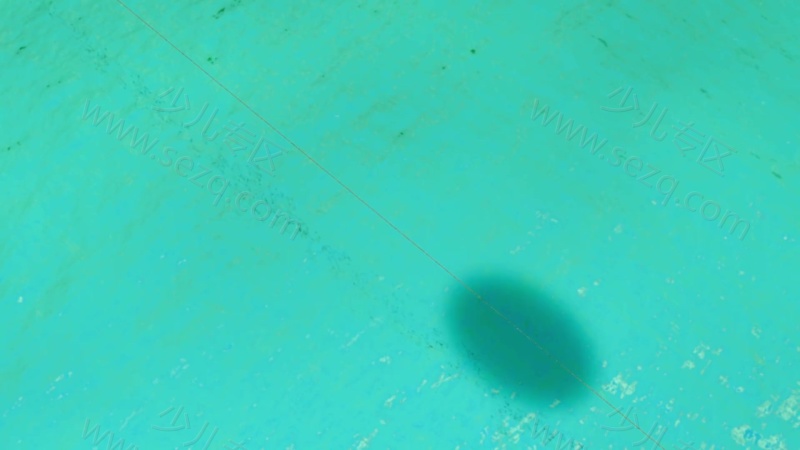 寻灵大冒险的剧照截图6