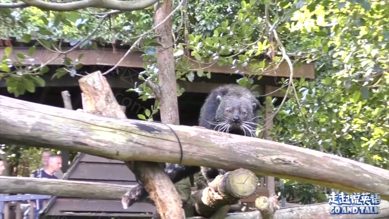 走起说英语的剧照截图6