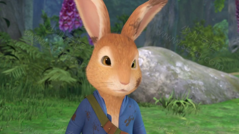 彼得兔的剧照截图7