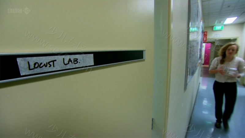 自然界最怪异的事件的剧照截图7