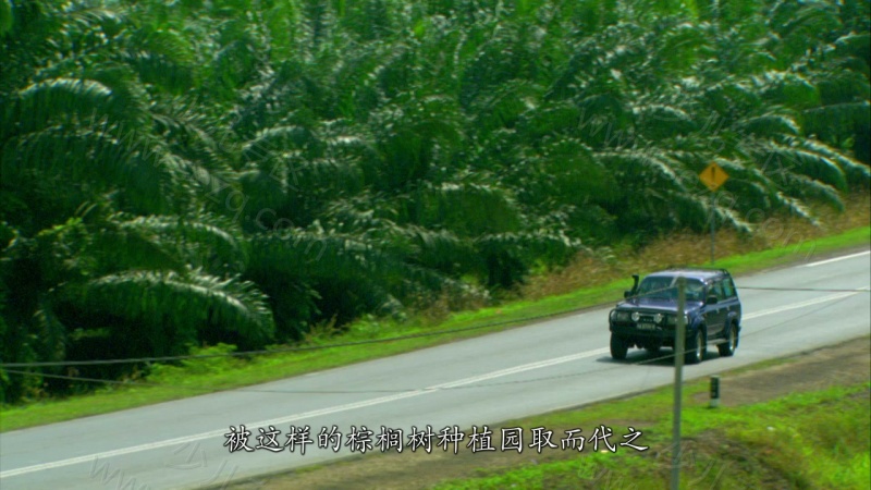 最后一眼的剧照截图4