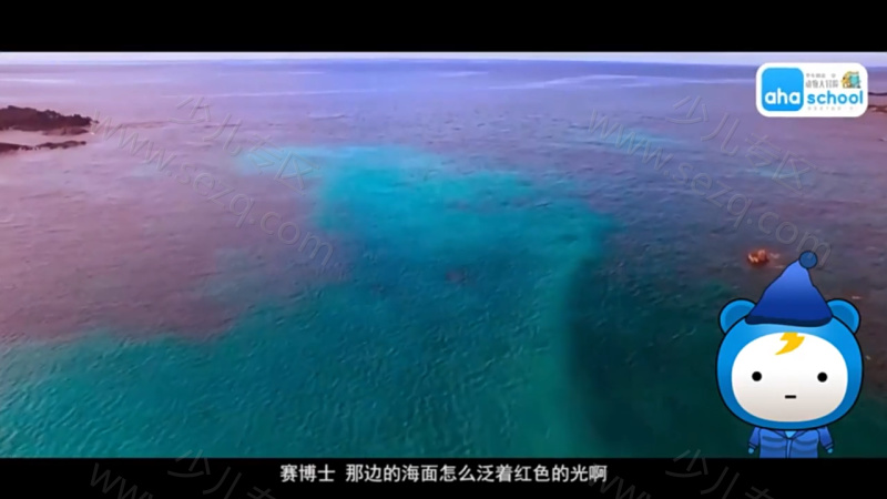 动物大迁徙的剧照截图3