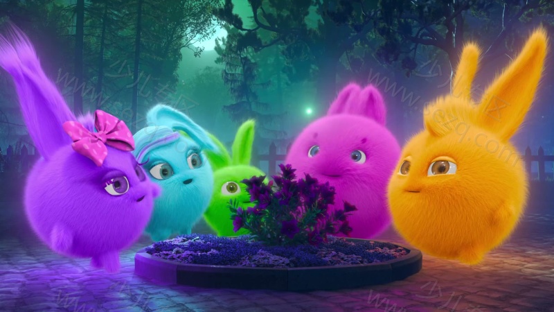 阳光小兔兔的剧照截图1