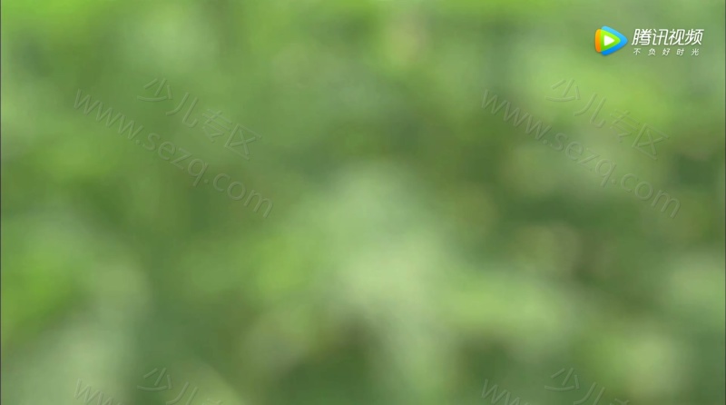 皮特森林侦探队的剧照截图6