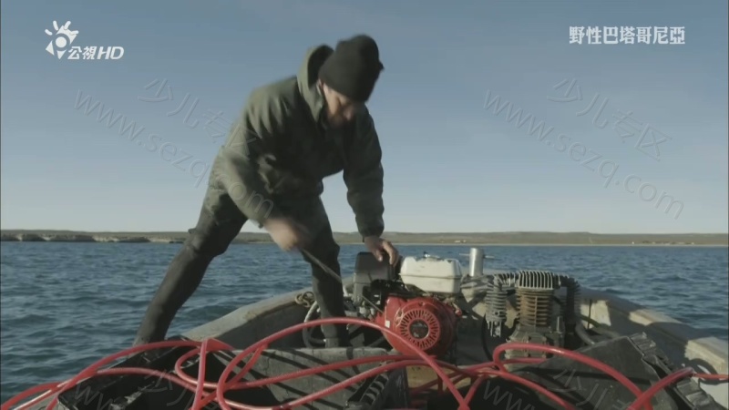 野性巴塔哥尼亚的剧照截图6