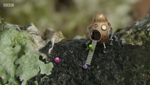 启蒙动画片《小奇迹 Tiny Wonders》第一季全10集 英语英字 720P/MP4/1.07GB 下载