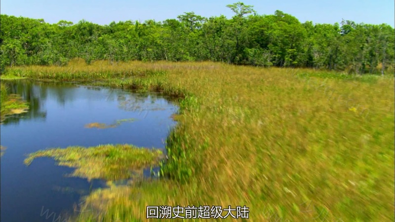 人类大历史的剧照截图3