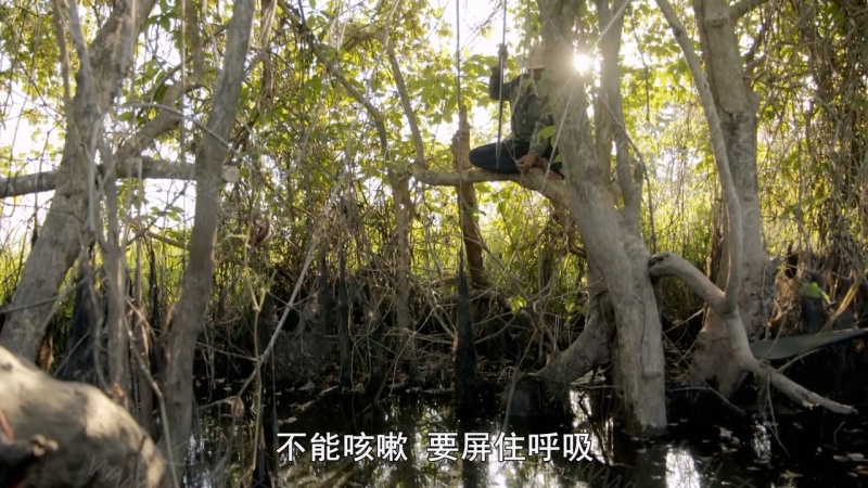 奇妙萌可的剧照截图5