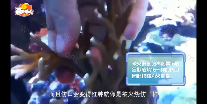 海底世界总动员的剧照截图7