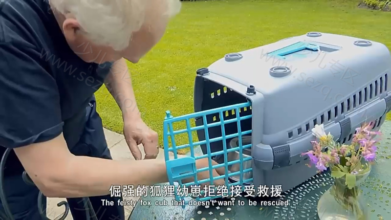 动物的母性的剧照截图6