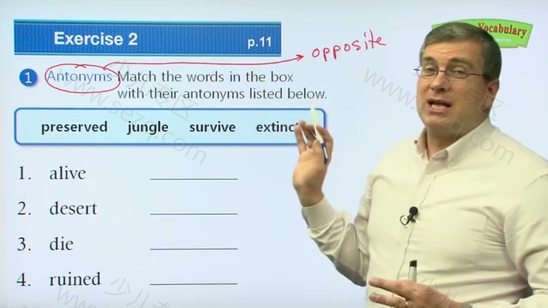 美国小学社会科学课的剧照截图2