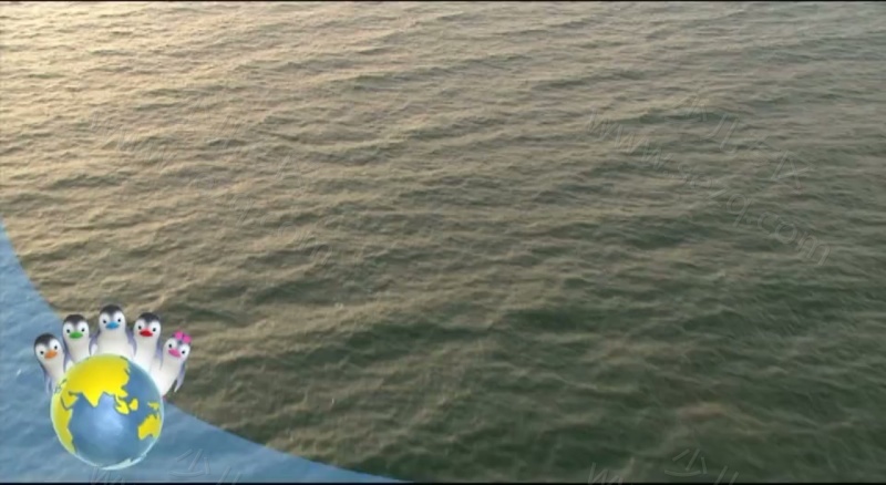 嘘!企鹅来了之企鹅爱地球的剧照截图3