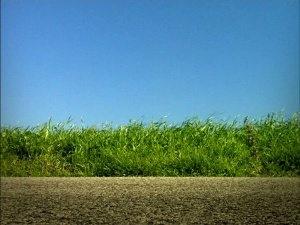 科普动画片《昆虫小世界 Minuscule》第一季全78集 无对白 高清/MP4/5.07GB 下载