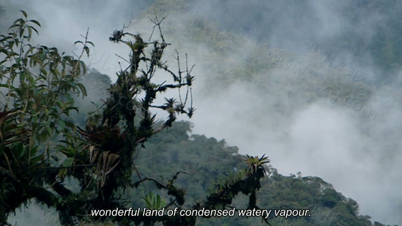 地球生物圈的剧照截图7