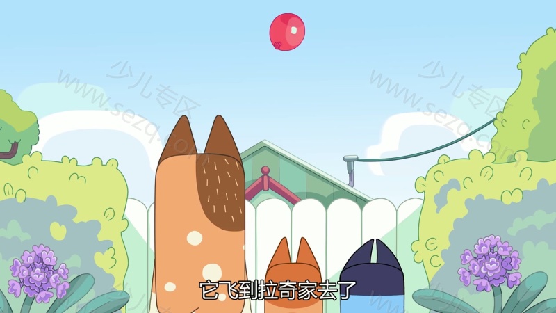 布鲁伊的剧照截图6