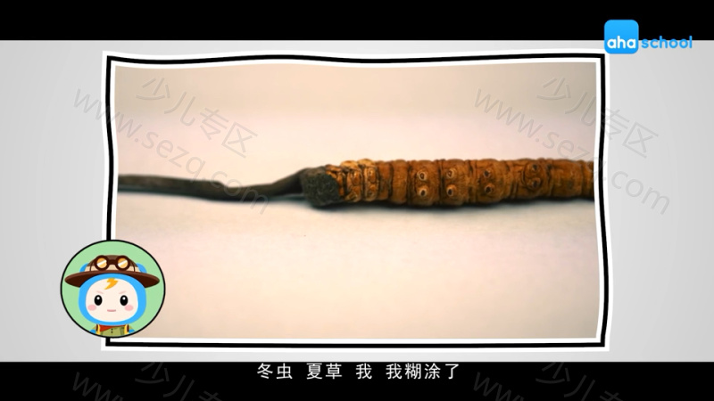 给孩子的西藏故事的剧照截图4