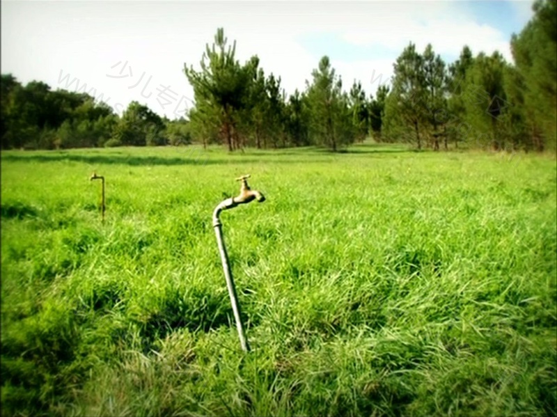 昆虫小世界的剧照截图2