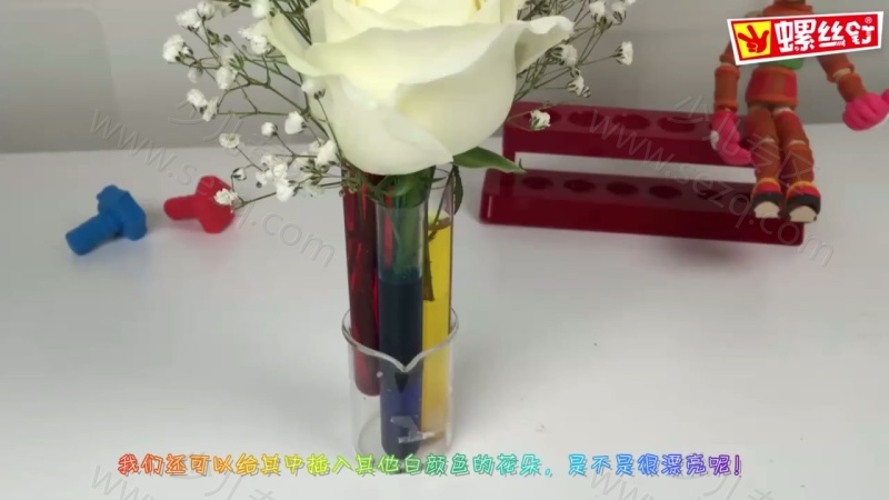 螺丝钉科学小实验的剧照截图5