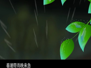 诗词启蒙片《儿童经典诗词选集54首》全54集 国语版 高清/MP4/291.48MB 下载