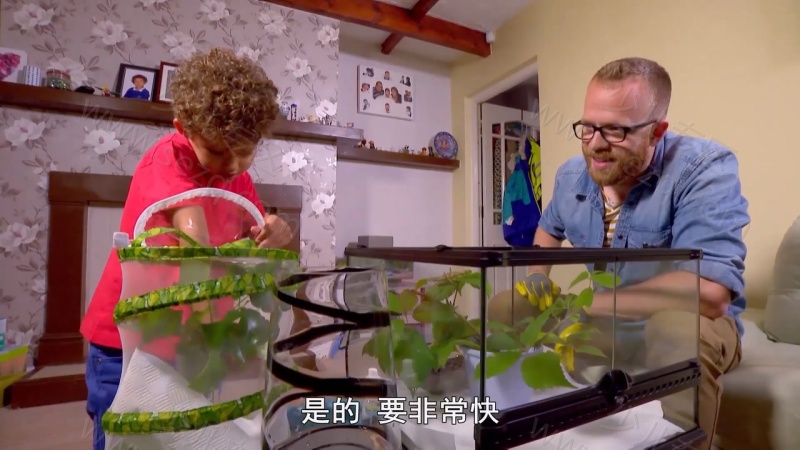 我的宠物和我的剧照截图4