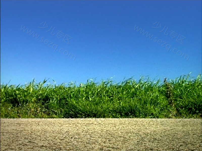 昆虫小世界的剧照截图4