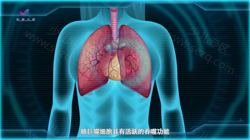 酷杰的科学之旅人体奥秘的剧照截图4