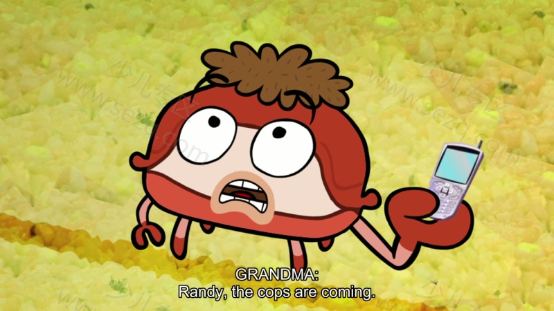 鱼乐圈的剧照截图6