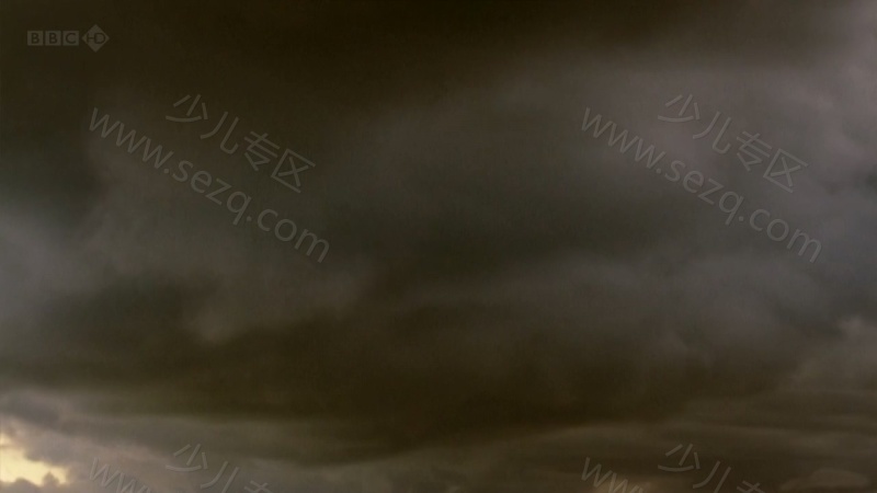 自然界最怪异的事件的剧照截图3