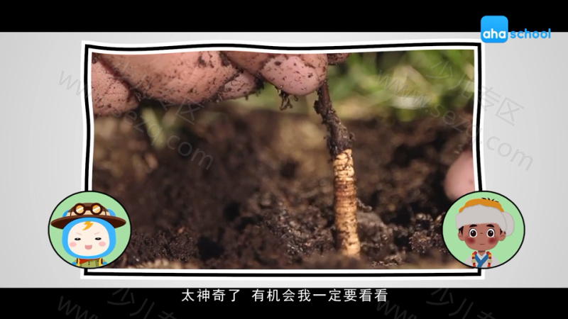给孩子的西藏故事的剧照截图5