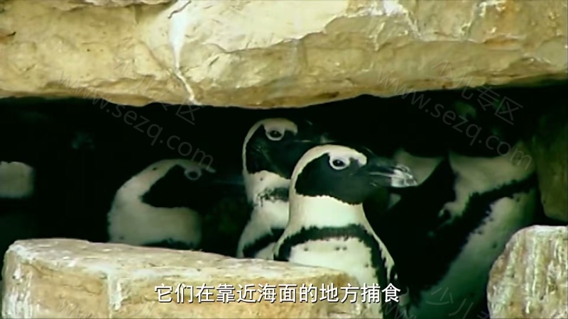 最棒的宝贝的剧照截图4