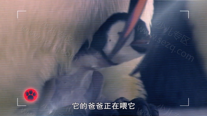 安迪的前五名的恐龙的剧照截图7