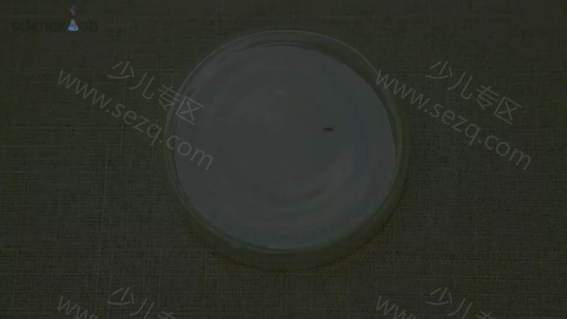 芝麻爱科学的剧照截图1