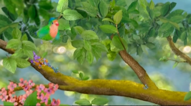 小鸟三号的剧照截图2